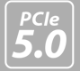PCIe 5.0 Symbol