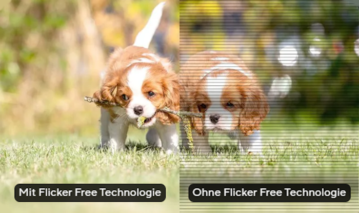 Das Bild zeigt den Unterschied zwischen aktiviertem und deaktiviertem Flicker Free