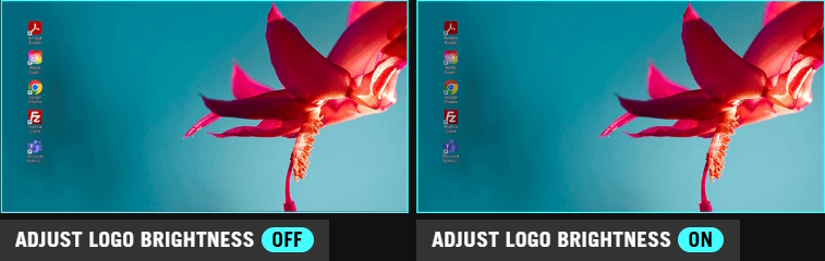 The screenshot of the desktop with five apps. / The screenshot of the desktop with the five app icons dimmed.