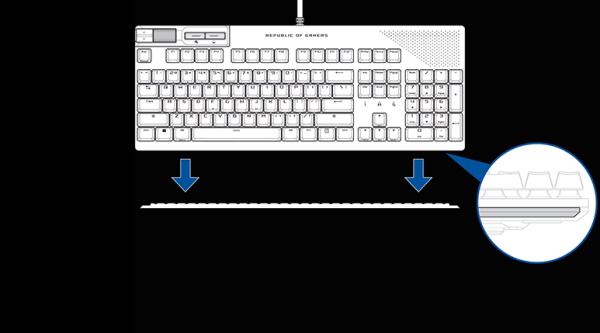 Remove the light diffuser from the keyboard.
