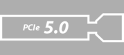 PCIe 5.0 Steckplatz Symbol