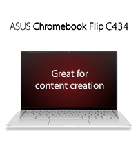 ASUS Chromebook C423NA-DH02 14.0